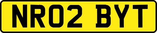 NR02BYT