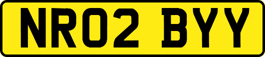 NR02BYY