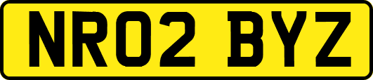 NR02BYZ