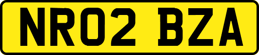 NR02BZA