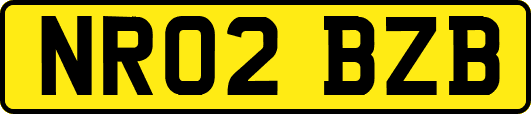 NR02BZB