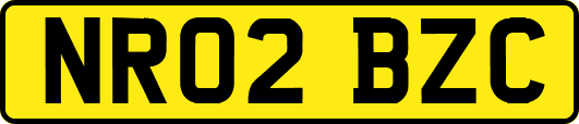 NR02BZC