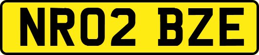 NR02BZE