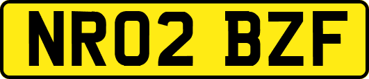 NR02BZF