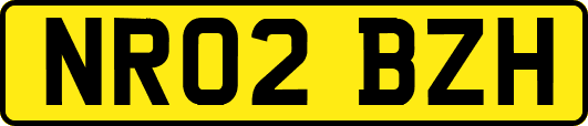 NR02BZH