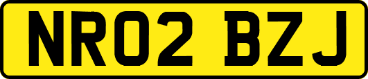 NR02BZJ