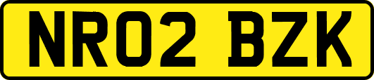 NR02BZK