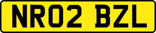 NR02BZL