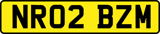 NR02BZM