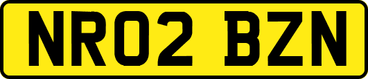 NR02BZN