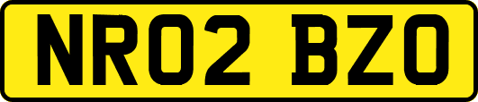 NR02BZO