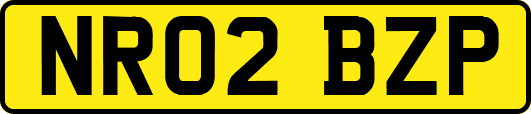NR02BZP