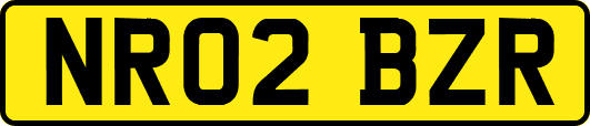 NR02BZR