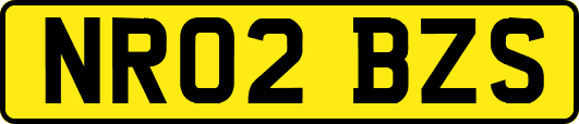 NR02BZS
