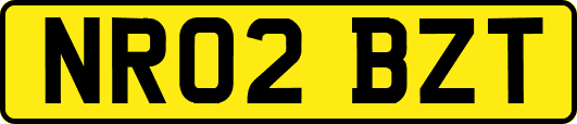 NR02BZT
