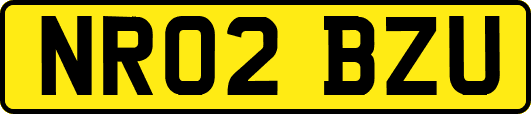 NR02BZU