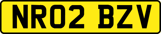 NR02BZV