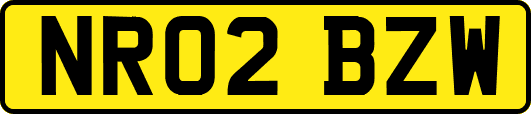 NR02BZW