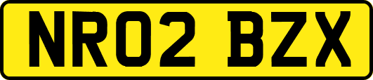 NR02BZX