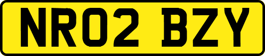 NR02BZY