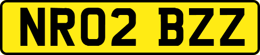 NR02BZZ