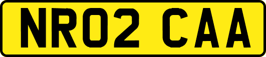 NR02CAA
