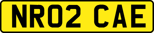 NR02CAE