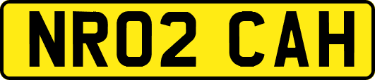 NR02CAH