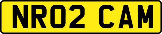 NR02CAM