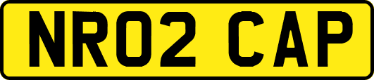 NR02CAP