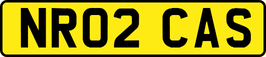 NR02CAS