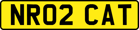 NR02CAT