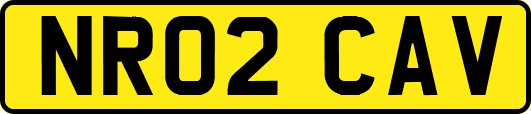 NR02CAV