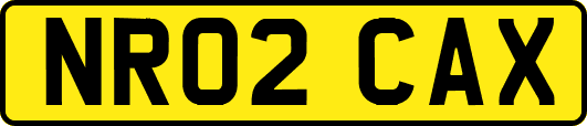 NR02CAX