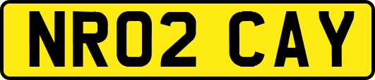 NR02CAY
