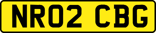 NR02CBG