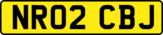 NR02CBJ