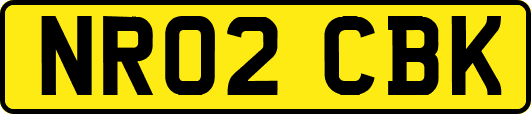 NR02CBK