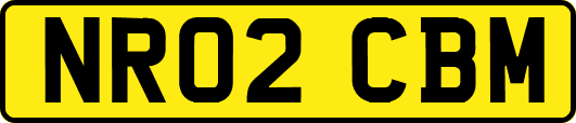 NR02CBM