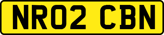 NR02CBN