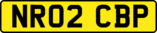 NR02CBP
