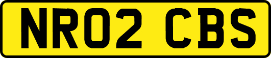 NR02CBS