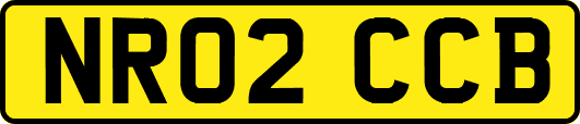 NR02CCB