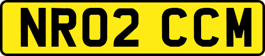 NR02CCM