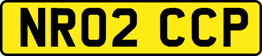 NR02CCP