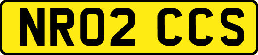 NR02CCS