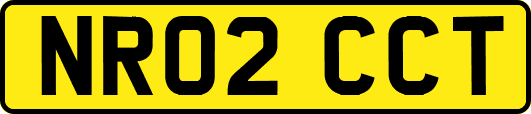 NR02CCT