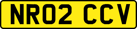 NR02CCV