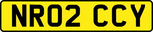 NR02CCY
