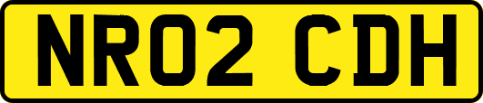 NR02CDH